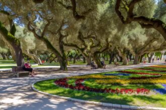 scenic coastal park escape